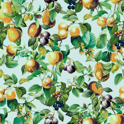Pompoos Provence 35633
