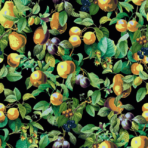 Pompoos Provence 35634