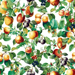 Pompoos Provence 35632