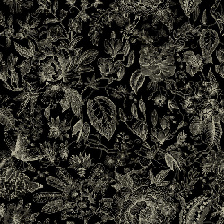 Pompoos Provence 35617
